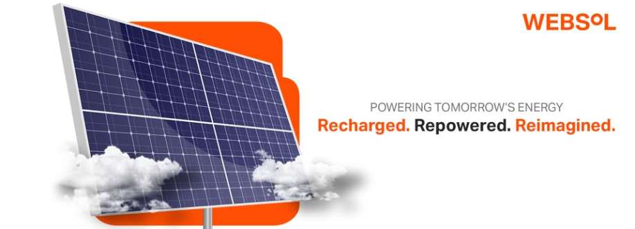 Websol Energy System Ltd Cover Image