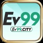 ev99 city Profile Picture