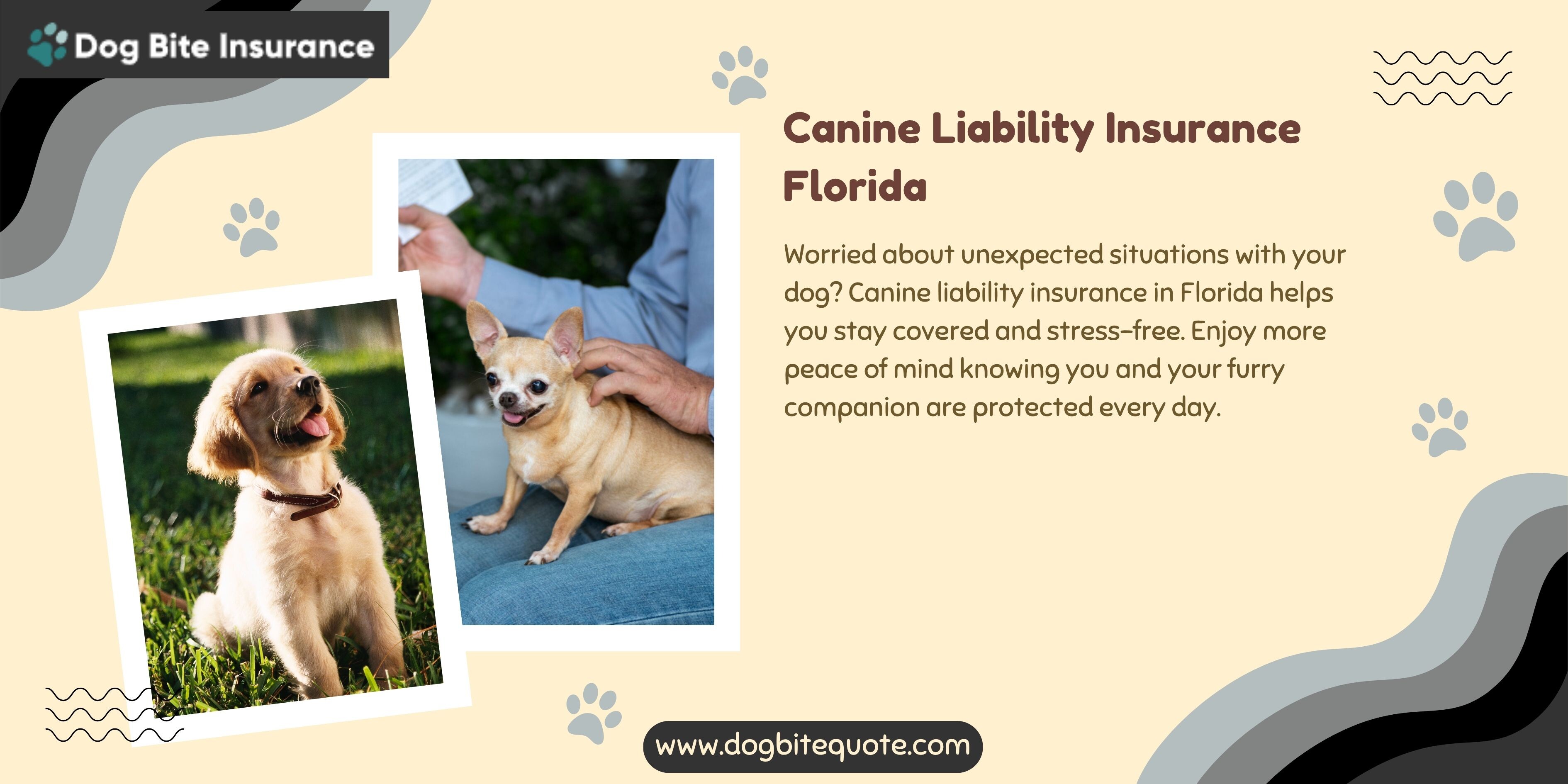 Canine Liability Insurance Florida - ImgVB