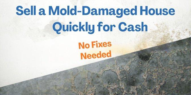 Sell a Mold-Damaged House Quickly for Cash: No Fixes Needed | Articles | Loyal Home Buyers | Gan Jing World - Technology for Humanity | Video & Movie Streaming