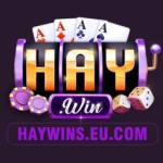 Haywin eucom Profile Picture