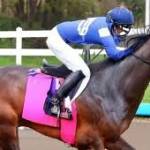 Estoturf NET Profile Picture