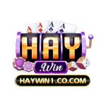 Haywin Cổng Game Đổi Thưởng Profile Picture