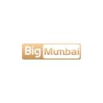 Big Mumbai Game Profile Picture