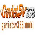 gavietsv388 mobi Profile Picture