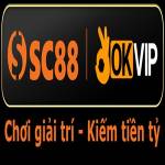 Tuyensinhnganhan com Profile Picture