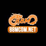 88m comnet Profile Picture