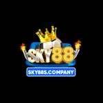 SKY88 SCOMPANY Profile Picture