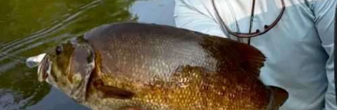 Teachertodd Guideservice Cover Image