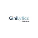 GiniLytics IT Solutions Profile Picture