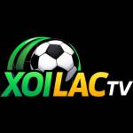 xoilactvv org Profile Picture
