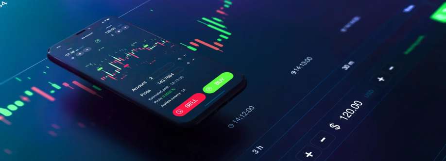 N P Financials Pty Ltd Cover Image