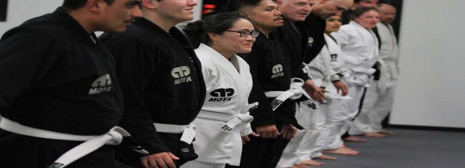 Level 3 Martial Arts Performance Cover Image