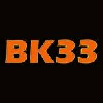 BK33 Profile Picture
