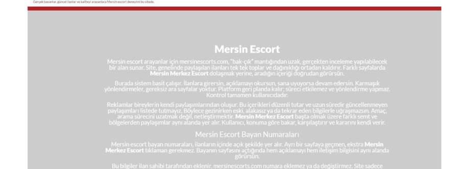 mersin pozcu escort Cover Image