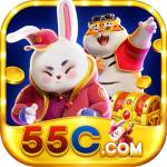 55cslot org Profile Picture