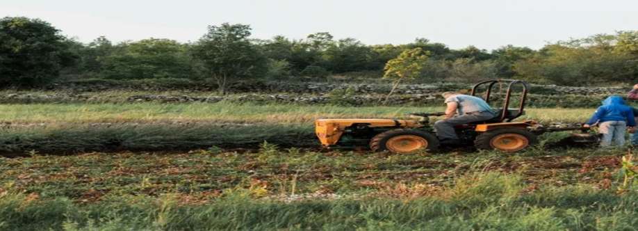 IMPORTATION FADE TECH Cover Image