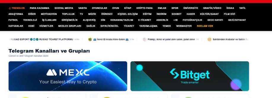 Türk İfşa Cover Image