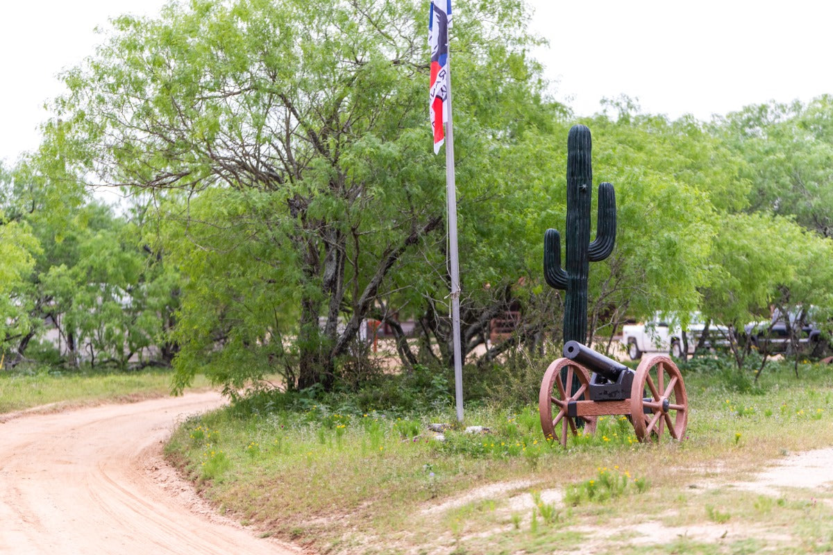 Boar Hunt Texas Trips for a Complete Outdoor Adventure
