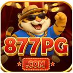 877pg org Profile Picture