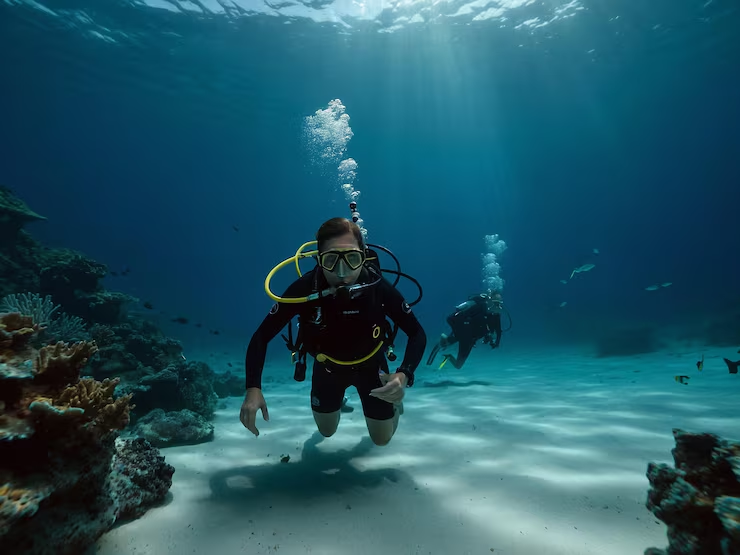 Explore What Makes Shark Diving in the Maldives a Distinct Ocean Experience - Click To Write