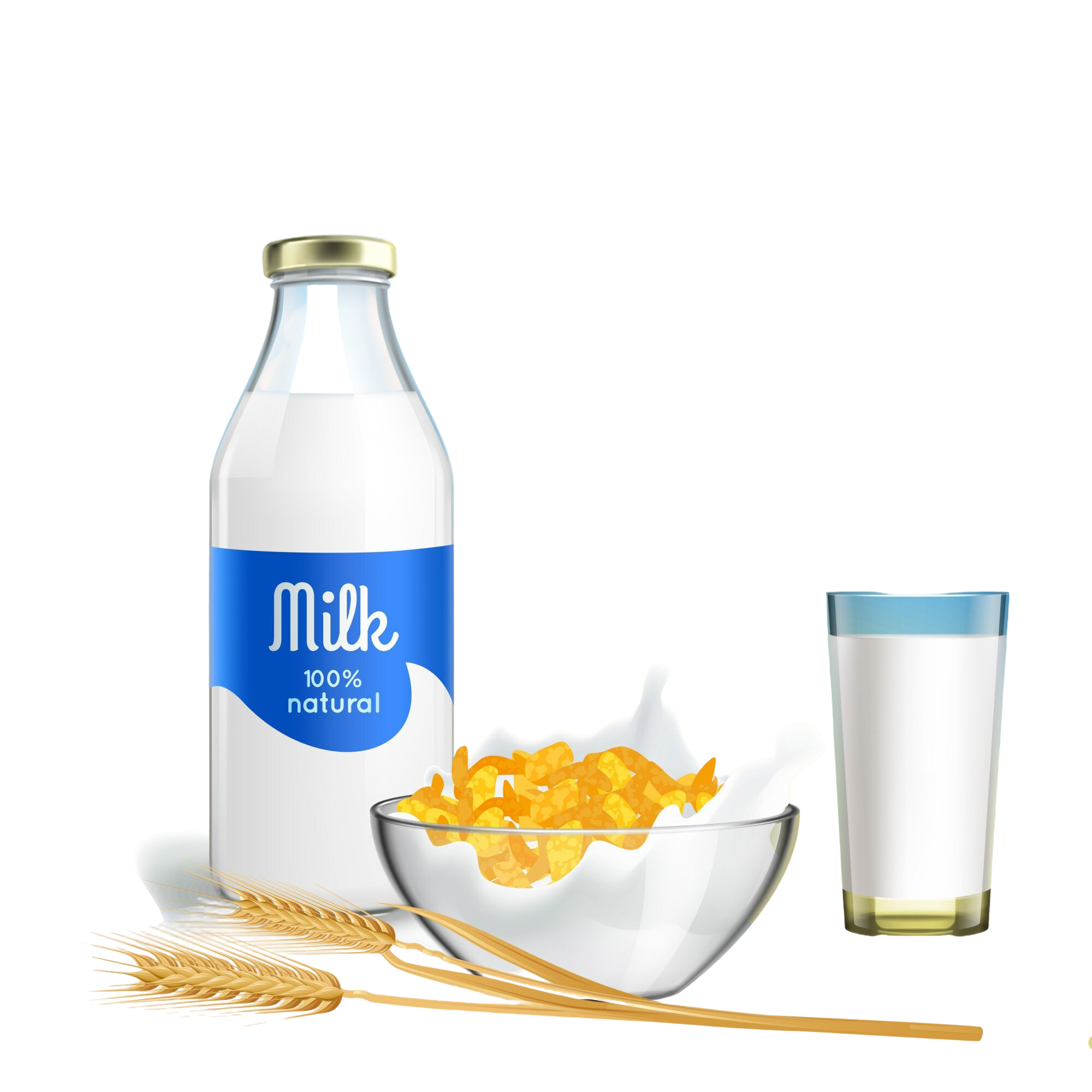 Best Coffee Auckland | Coffee Beans, Chai & Hot Chocolate