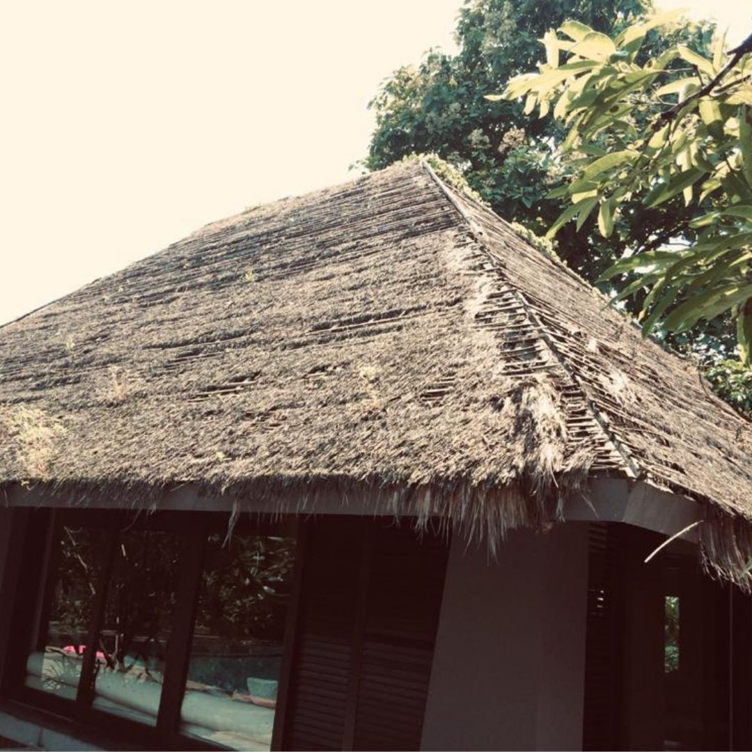 What to Know Before Choosing an Artificial Thatch Roof - Services Dictionary
