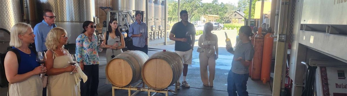 How to Experience Napa Valley Wine Tours Like a Pro – Daily Journal  Info