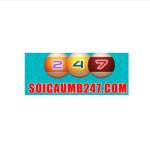 Soi cầu 247 Profile Picture