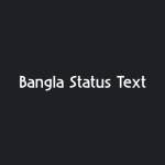 Bangla Status Text Profile Picture
