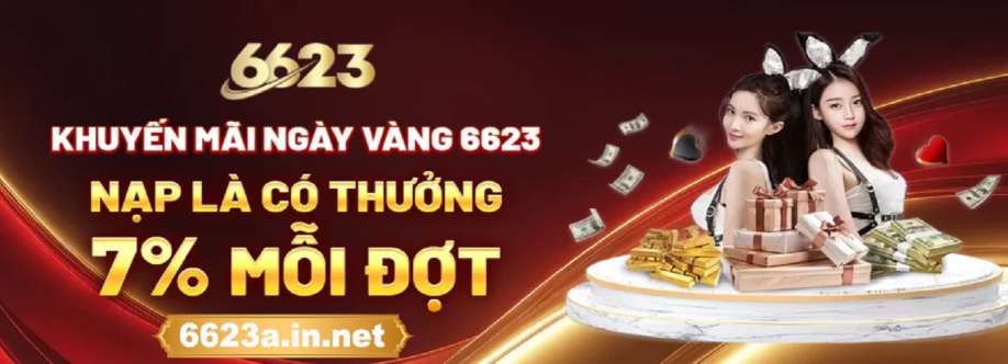 6623a innet Cover Image