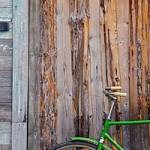 Olivia Harper Olivia Harper Profile Picture