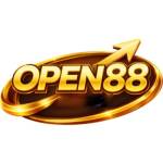OPEN88 Profile Picture