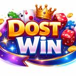 dostwin game Profile Picture