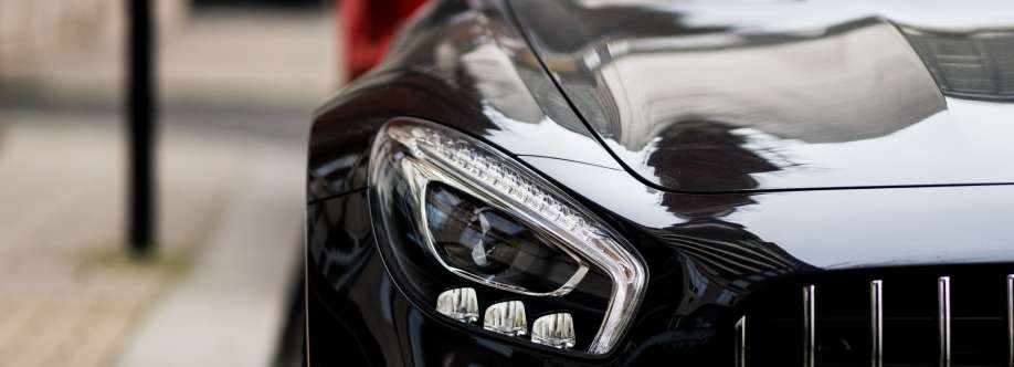 PRO Vinyl Cover Image