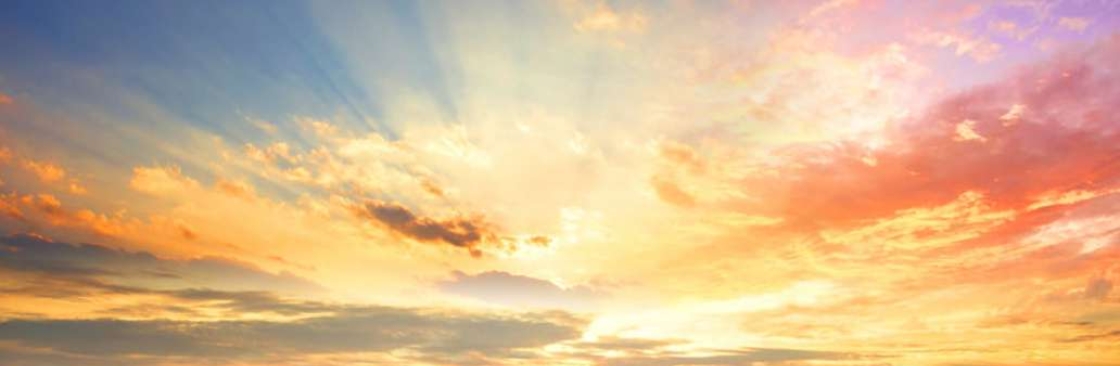 Will Dadswell Cover Image