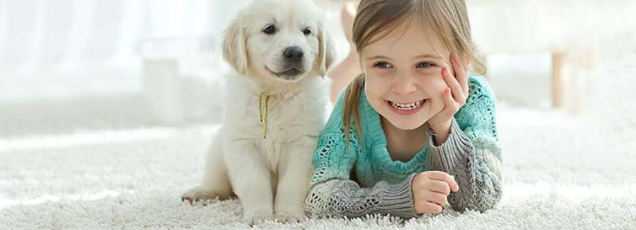 Steam Master Carpet Cleaners Cover Image