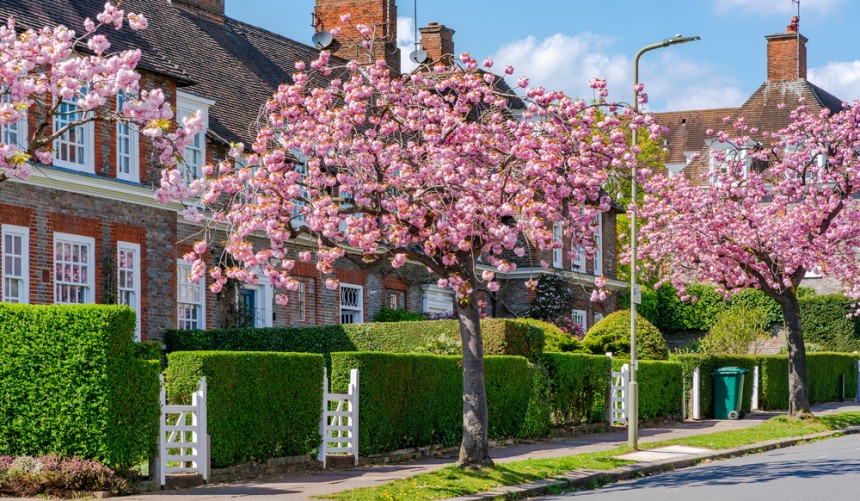 India Daily News - Property to Rent in Hampstead Garden Suburb | Get Expert Lettings Support