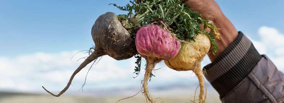 The Maca Team Cover Image