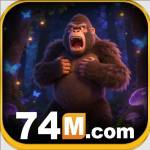 74m org Profile Picture