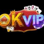 OKVIPTOP LI Profile Picture