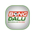 BongDa Lu Profile Picture