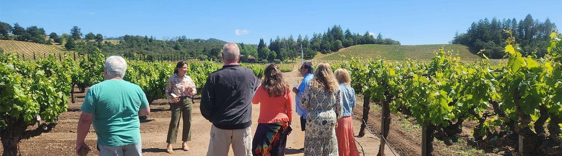 Why Sonoma Wine Country Is Perfect for a Weekend Escape – Platypus Tours