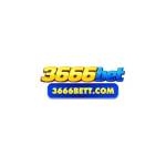 casino 3666bet Profile Picture