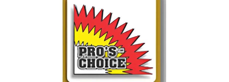 Pro Choice Cover Image