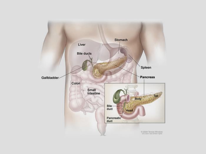 Appendicitis Treatment in Chennai | Dr. Kumargurubaran