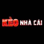 tyle keonhacai Profile Picture