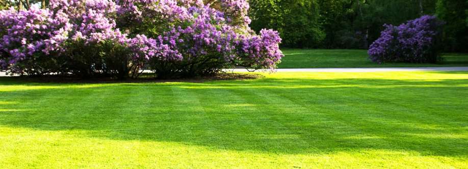 Accurate Lawn Leveling Cover Image