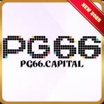 pg66 capital Profile Picture