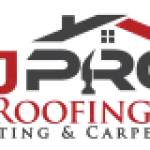 njpro painters Profile Picture
